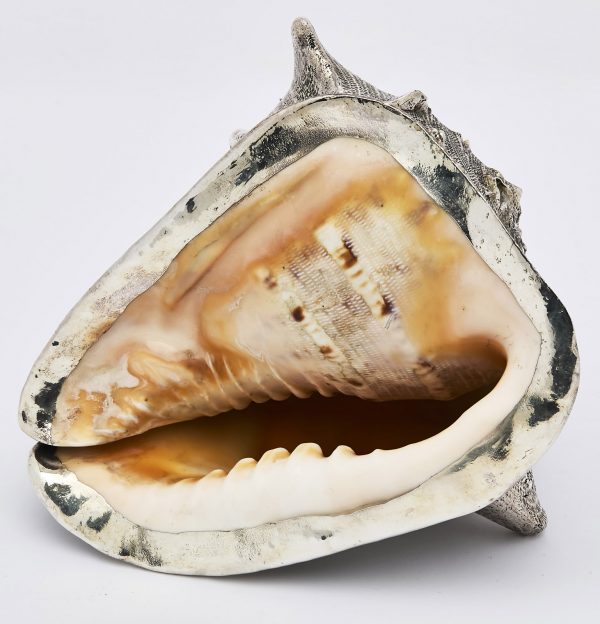 212/709 Gr. Vasenschnecke mit Silberauflage – Bild 3