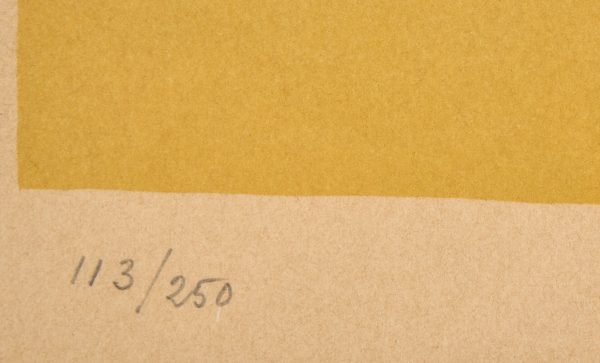 214/277 Farblithographie Jacques Villon – Bild 4
