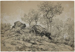 214/185 Kohlezeichnung Peter Burnitz