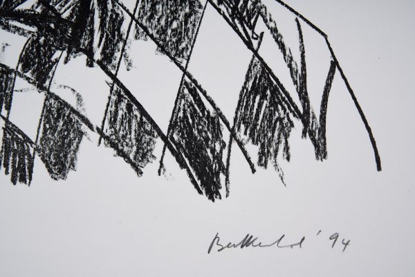214/304 Lithographie Stefan Balkenhol – Bild 4