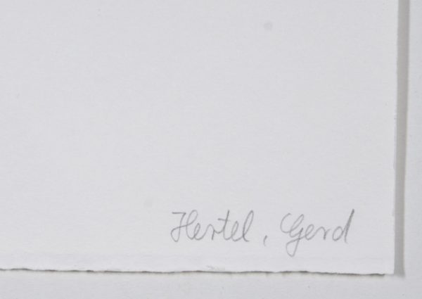 214/304 Lithographie Stefan Balkenhol – Bild 3