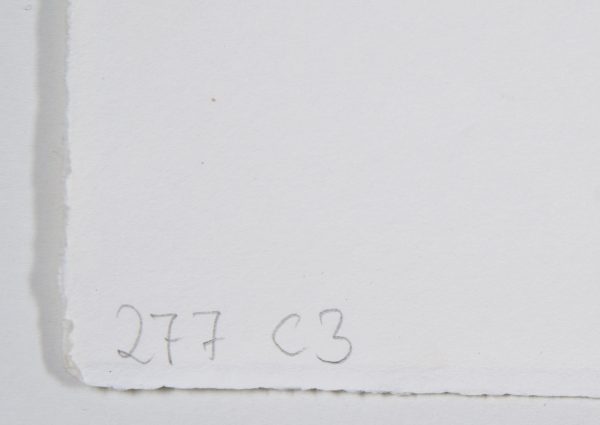 214/304 Lithographie Stefan Balkenhol – Bild 2