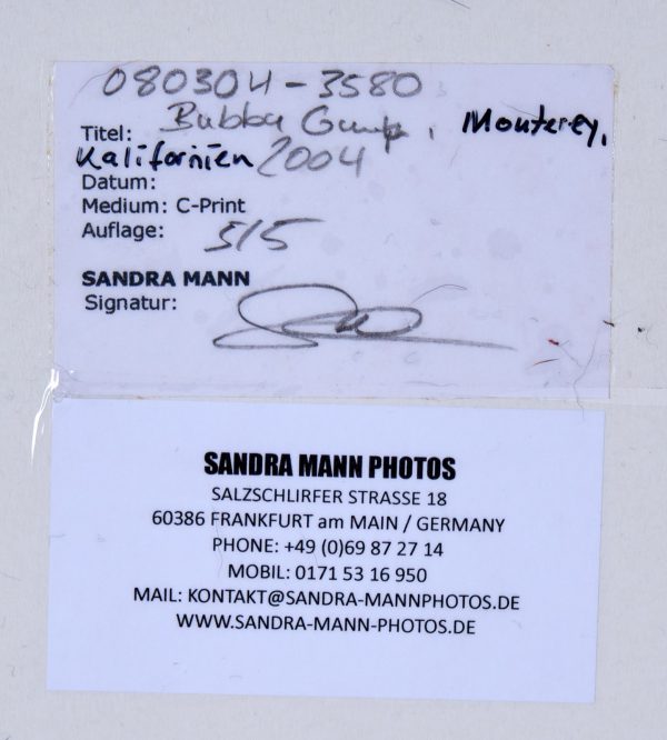 215/138 Fotographie Sandra Mann – Bild 2