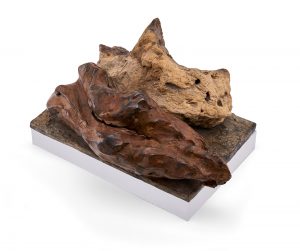 217/583 Freddi, Bruno