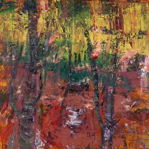 217/561 Slavicek, Jiri Vincenc