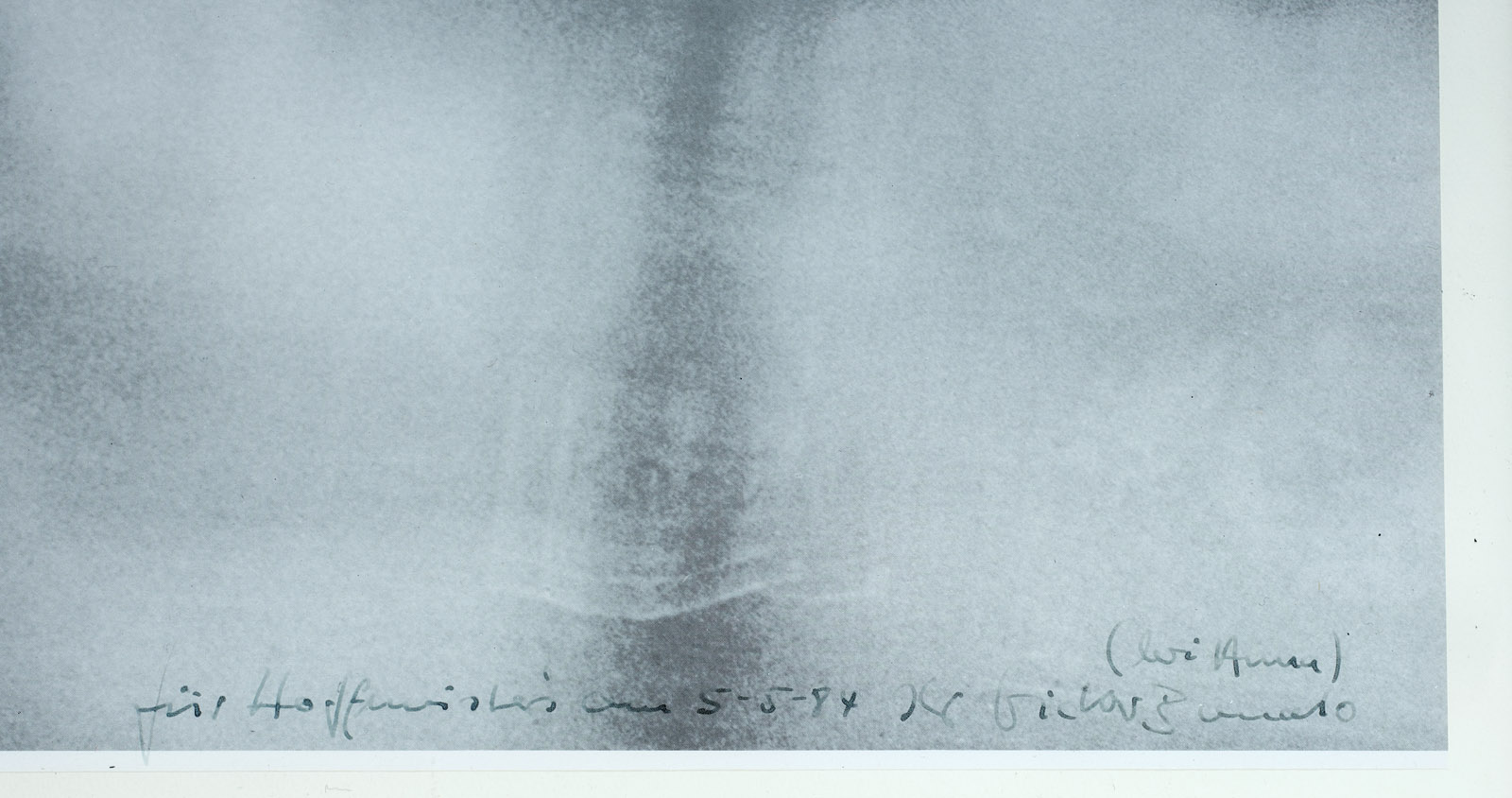 217/150 Bonato, Victor – Bild 2