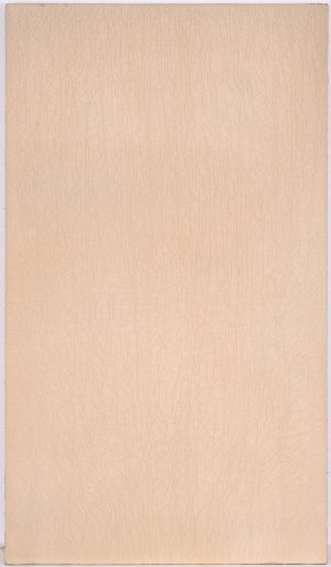 217/115 Baumkötter, Stephan