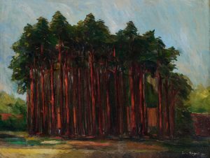 217/337 Nagel, Wilhelm