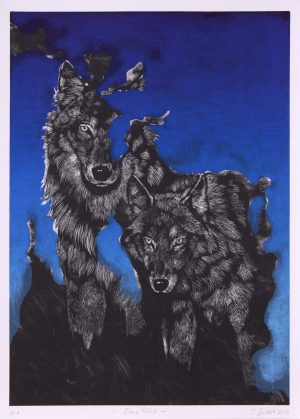 218/162 Dutoit, Isabelle