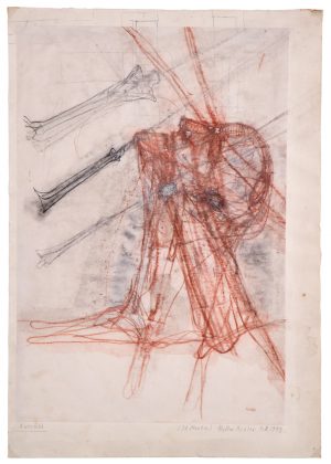 218/145 Pichler, Walter