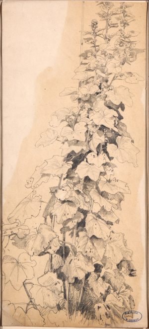 218/302 Georgy, Wilhelm