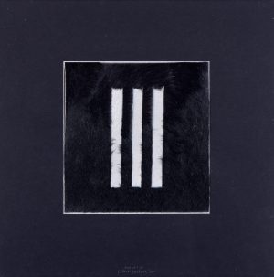 218/42 Peeters, Henk