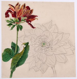 218/277 Schellink, Samuel