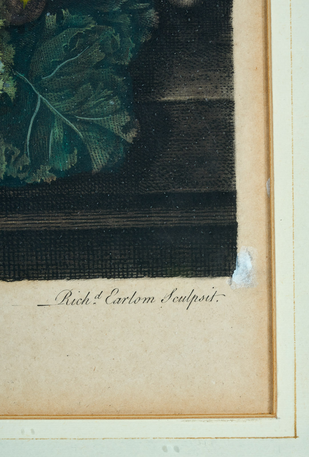 219/299 Earlom, Richard – Bild 6
