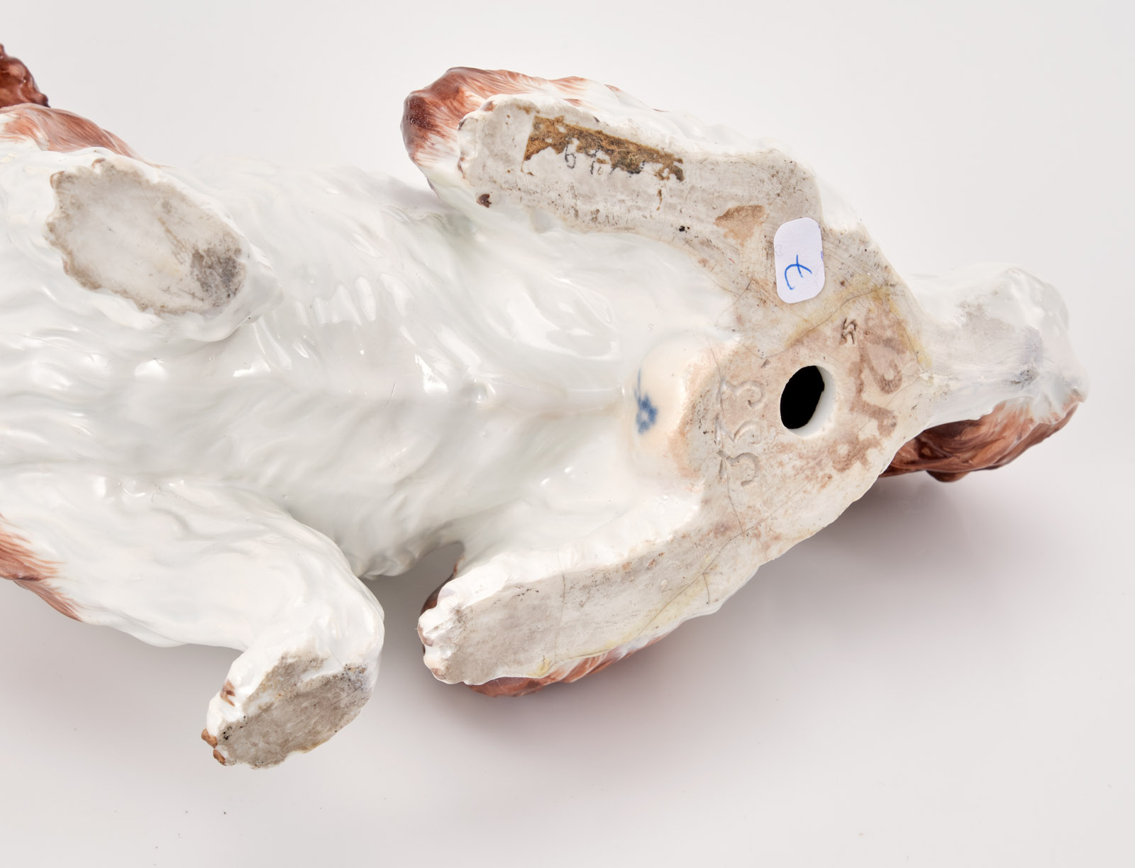 219/732 Bologneser Hund, Meissen 19. Jh. – Bild 3