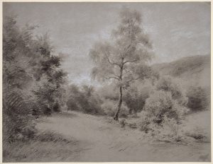 219/206 Höffler, Adolf