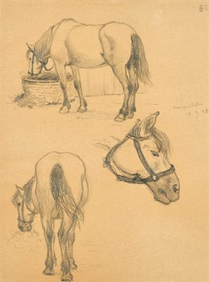 219/264 Höffler, Adolf