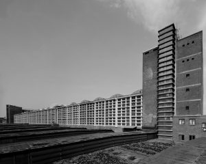 213/56: Fotoprint Robert Metsch